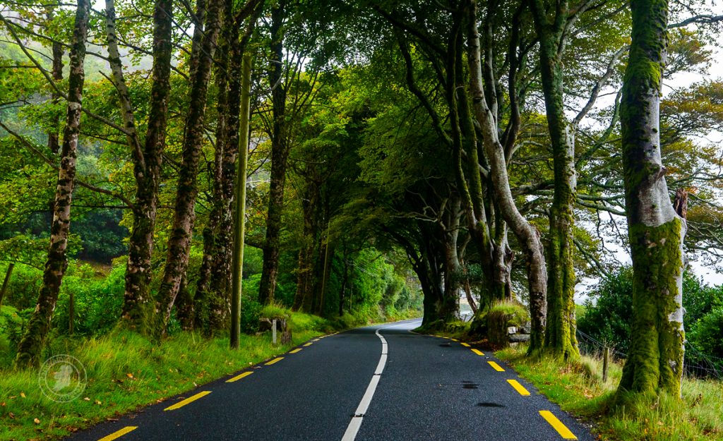 Many scenic roads will lead us to photography locations.